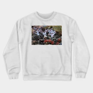 Coral Sculpture. Vladivostok Oceanarium Crewneck Sweatshirt